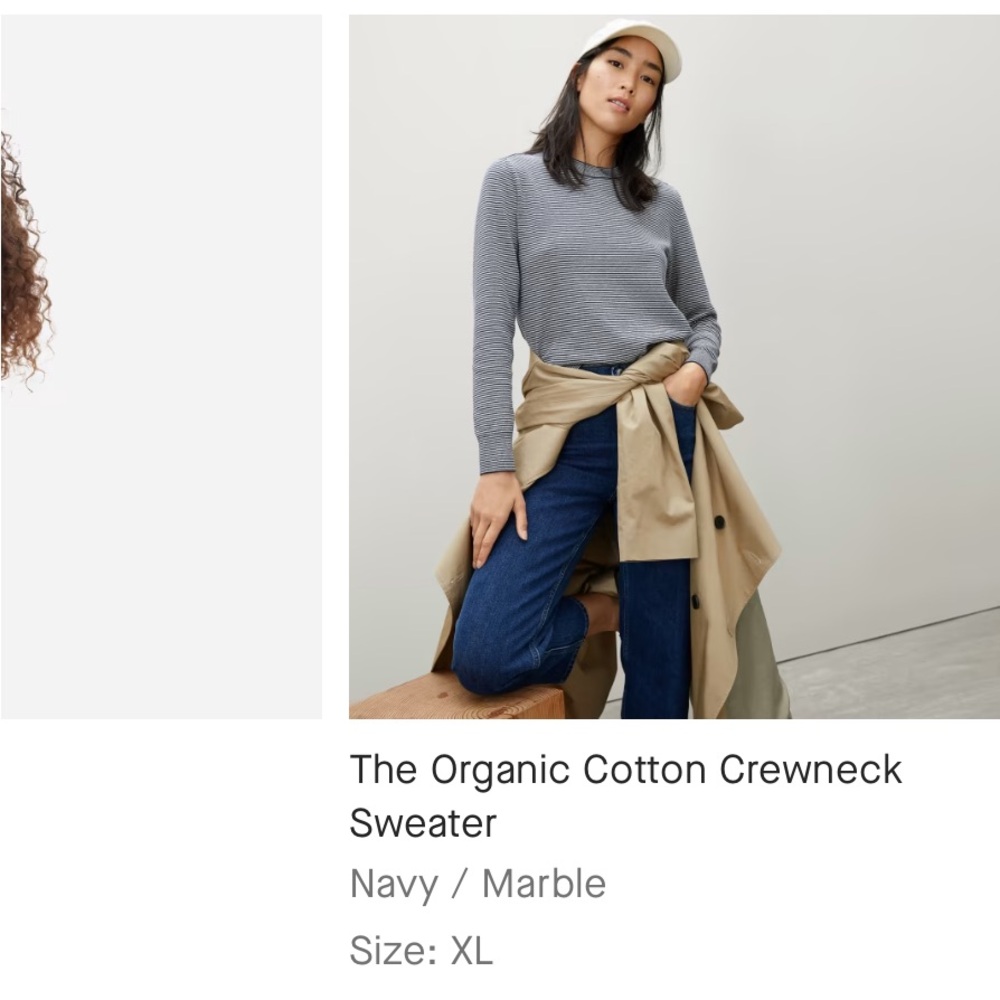 Everlane Organic Cotton Crewneck Sweater